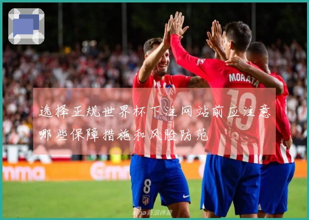 选择正规世界杯下注网站前应注意哪些保障措施和风险防范