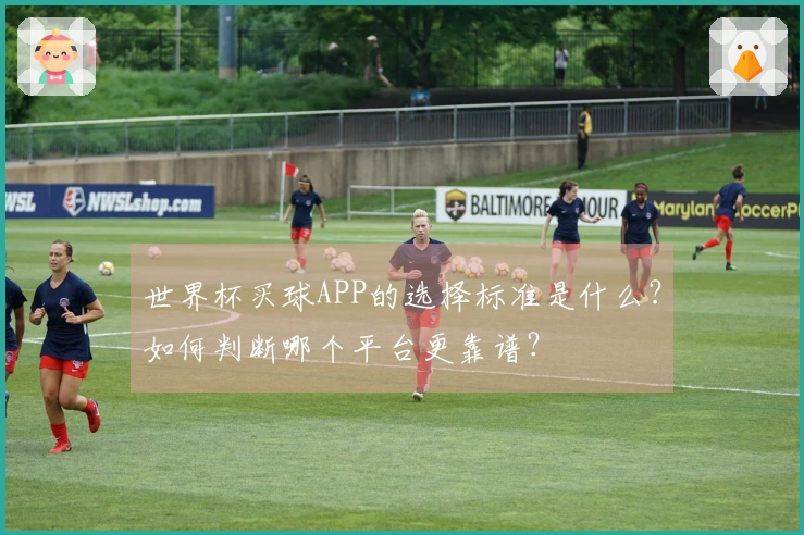 世界杯买球APP的选择标准是什么？如何判断哪个平台更靠谱？
