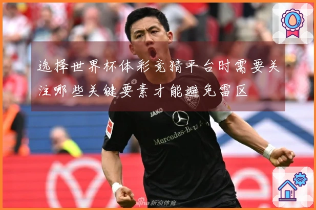 选择世界杯体彩竞猜平台时需要关注哪些关键要素才能避免雷区