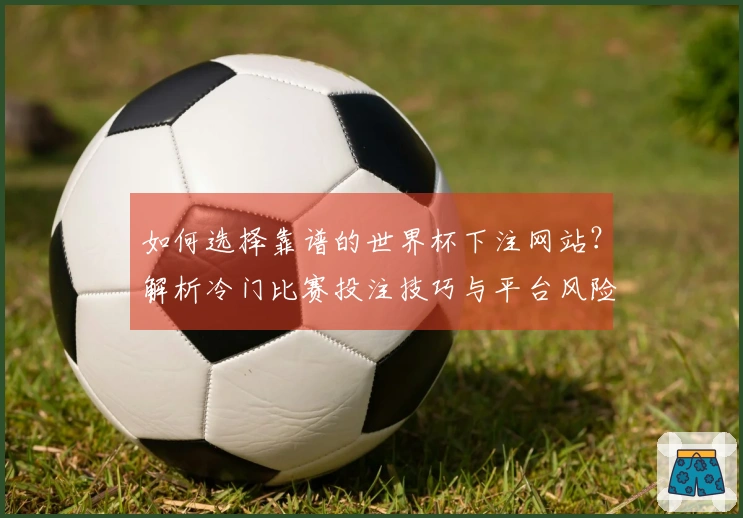 如何选择靠谱的世界杯下注网站？解析冷门比赛投注技巧与平台风险