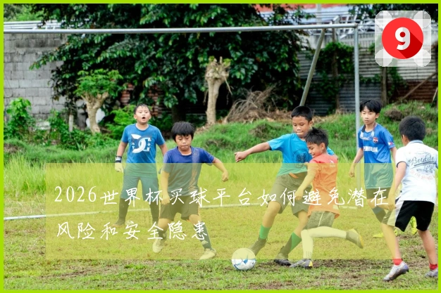 2026世界杯买球平台如何避免潜在风险和安全隐患