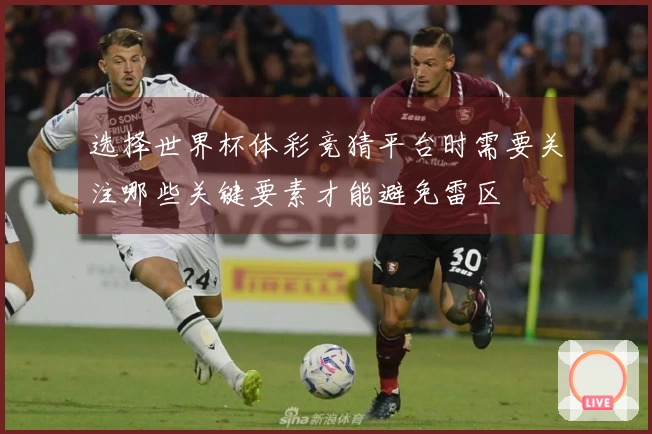 选择世界杯体彩竞猜平台时需要关注哪些关键要素才能避免雷区